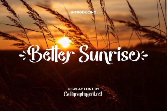 Better Sunrise Font: A Display Typeface Built for Digital Campaigns