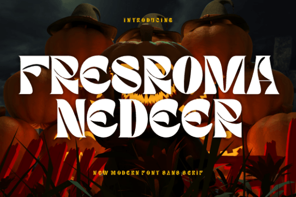 Fresroma Nedeer: A Display Font for Editorial Presence