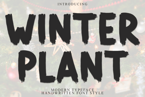 Winter Plant: A Designer's Honest Review of a Display Font