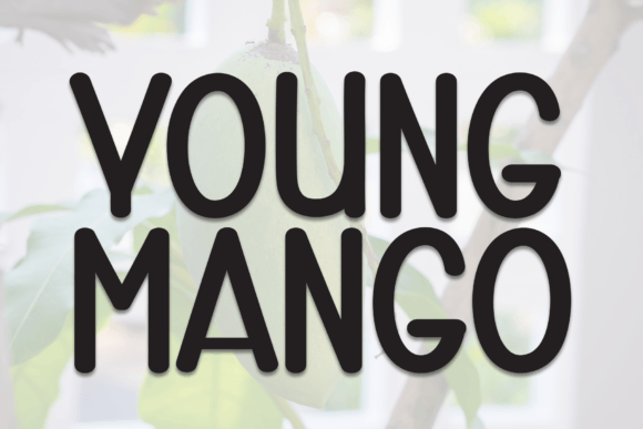 Young Mango Bold Display Font: Practical for Small Business Branding
